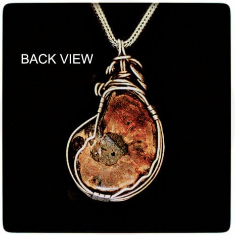 corded 32 back fossil stone with silver rear view