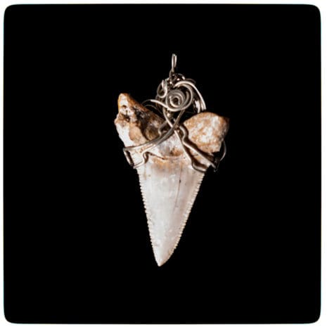 pendant 09 back animal tooth with alpaca pendants