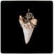 animal tooth with alpaca pendants