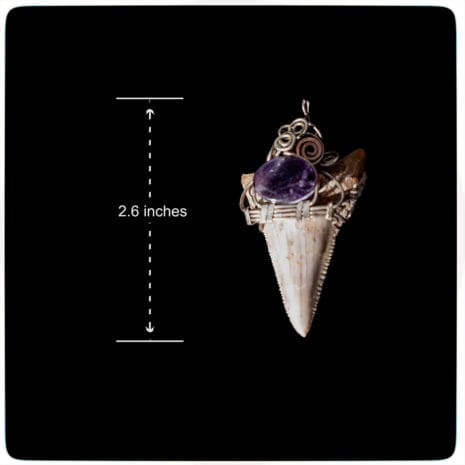 pendant 09 size size of animal tooth with alpaca